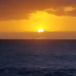 Meet your Posher, Sherod